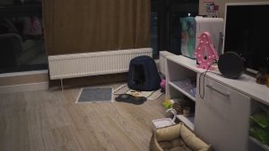 МНЕ ПОДАРИЛИ СОБАКУ? МОЯ МЕЧТА СБЫЛАСЬ! | VLOG