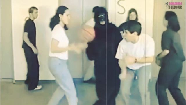 Невидимая горилла - Эксперимент над людьми смотреть онлайн