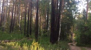 Девушка на велосипеде . ОДНА В ЛЕСУ?