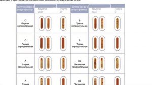 ГРУППА КРОВИ | Почему у людей разные группы крови и на что это влияет