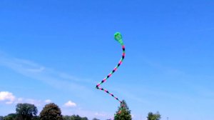 TITANOCOBRA - 40m (130.5 ft.) - Dual Line Cobra Snake Foil Kite