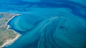 ЧТО ТАКОЕ ГОЛЬФСТРИМ  ?