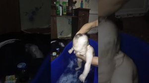 Мультик телепузики