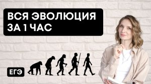 Вся Эволюция за 1 час | ЕГЭ 2023