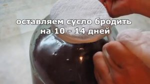 Винный уксус Рецепт приготовления уксуса из винограда  в домашних условиях Вкусный винный уксус