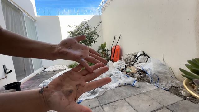 🔥SIN IR A LAS TIENDAS ✅ DECORA TU CASA 🏠 cuadro, SIN SABER! textura y óleo | TENDENCIA 2024 смотреть онлайн