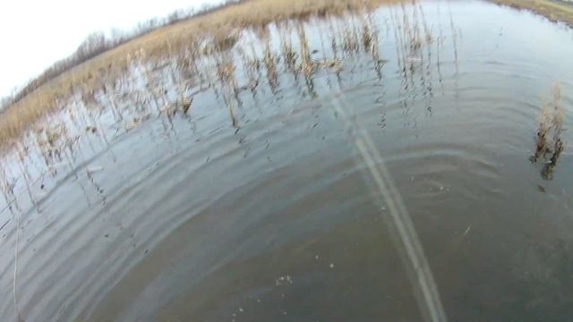 охота на селезня 2021, трудовой селезень ПОЙМАЛ СБЕЖАВШУЮ ПОДСАДНУЮ