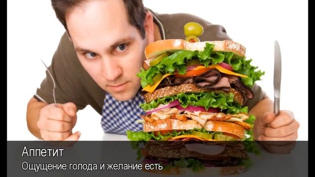 Аппетит. Толковый Видеословарь русского языка
