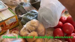 Соль-Илецк, отдых 2022! Рынок, огурчик и помидор-мальчик🤣! Смотреть до конца! Приколы СольИлецкие!