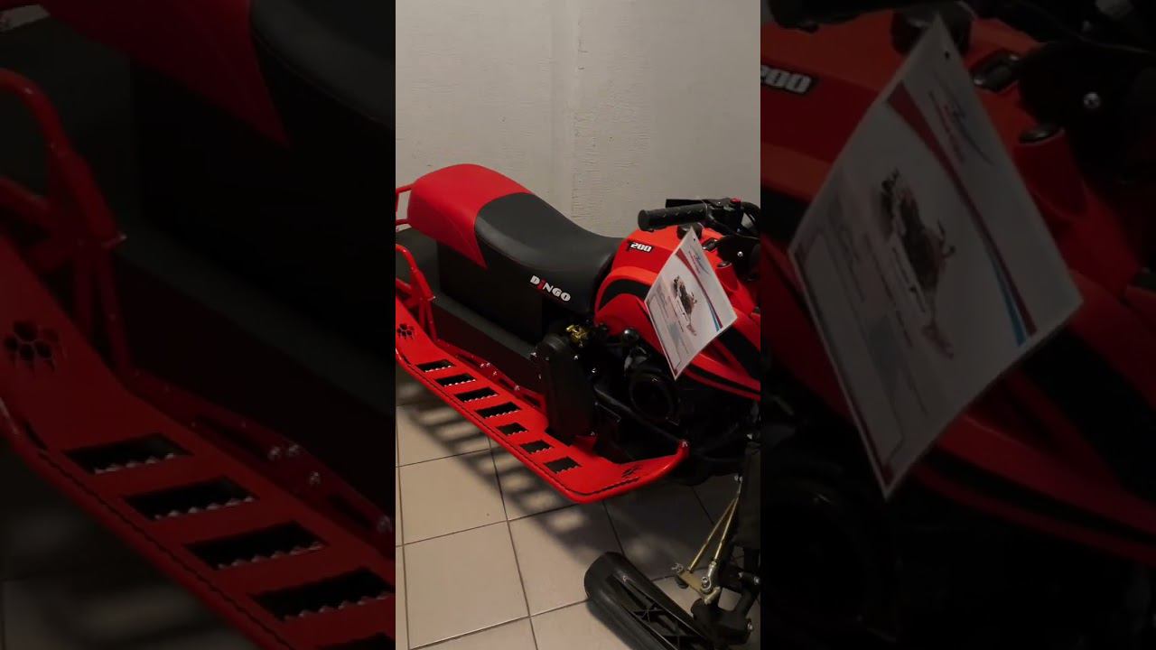 Обзор снегохода Dingo смотреть онлайн