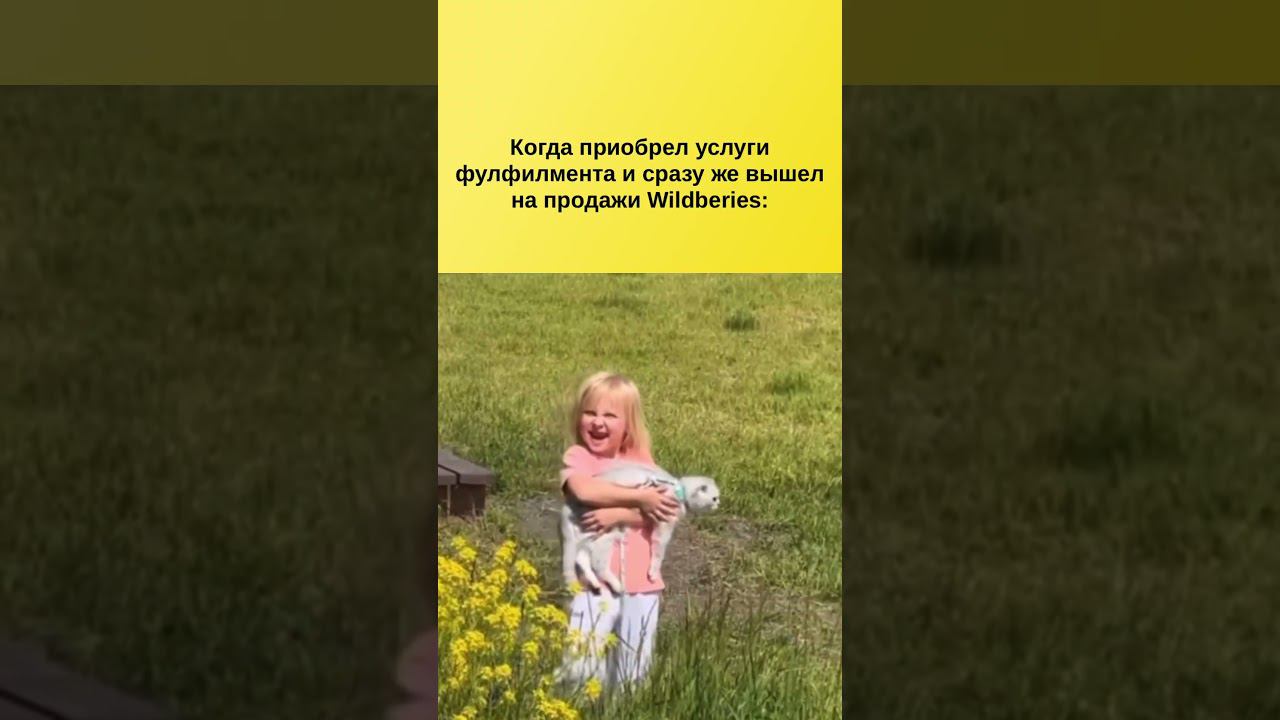 Мы ни на что не намекаем конечно #фулфилмент #маркетплейс #фулфилментмаркетплейсов #wildberries смотреть онлайн