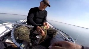 Судак на слаг. Савин HG продолжает тестировать Mottomo Falcata