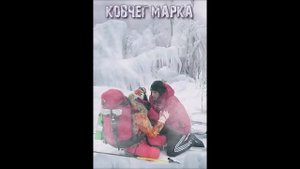Ковчег Марка