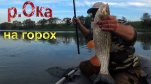 Удочка в дугу .Попался лось. Рыбалка с ночёвкой. Ловля на поплавок . Ловля на отводной