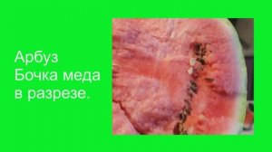 Самый вкусный арбуз!!!