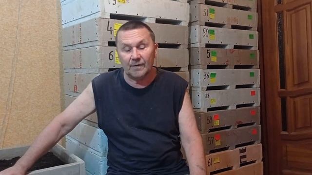 Триходерма. Завершение. Ответы на вопросы. смотреть онлайн