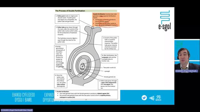 Plant Reproduction смотреть онлайн