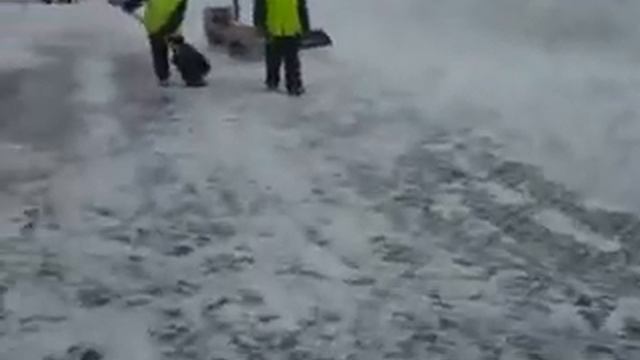 Реклама ультра модных лопат от Ирины Великой смотреть онлайн