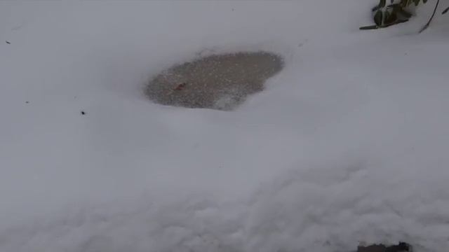 deicer for Pond/ обогреватель для Пруда❄️⛄️ смотреть онлайн