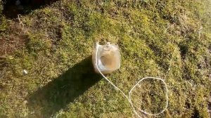 Как ловить Гольяна весной видео1