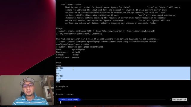 CKA tips : How to create env var in K8s pod and configmap смотреть онлайн