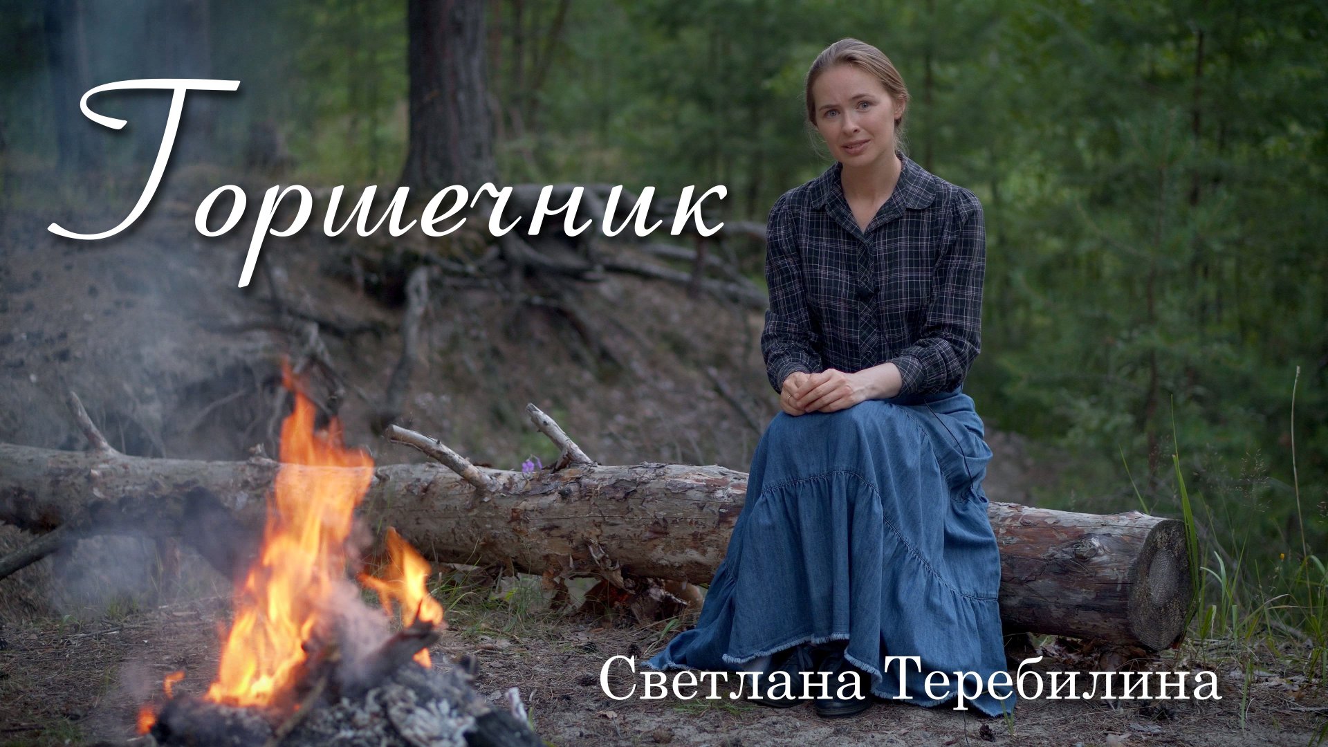 Горшечник. Светлана Теребилина. Читает автор смотреть онлайн