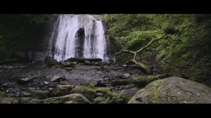 Auvergne Nature (version 4K)