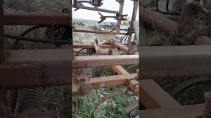 Культиватор КТС-7,4 Казахсельмаш экспресс-обзор от Андрея Абросимова