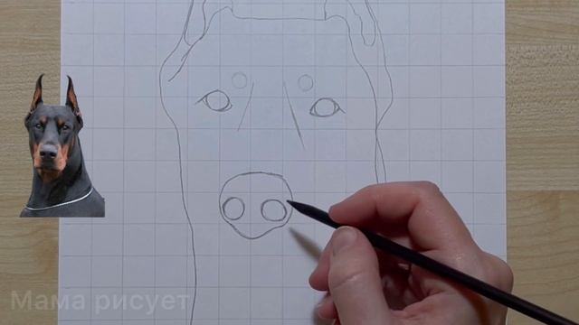 Как нарисовать собаку ДОБЕРМАНА поэтапно / Doberman Dog easy drawing
