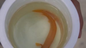 Buying CREEPY FISH From LIVE FISH VENDING MACHINE! *do not press*
