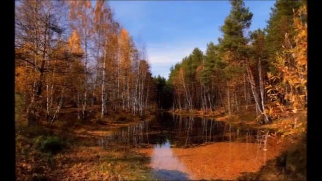КРАСАВИЦА  ОСЕНЬ.   ОСЕННИЙ  ЛИСТОПАД.  КРАСКИ  ОСЕНИ