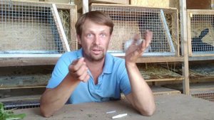 Шприц (соска) для кормления маленьких крольчат.