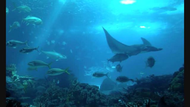 Ocean Of Peace - Millennia смотреть онлайн