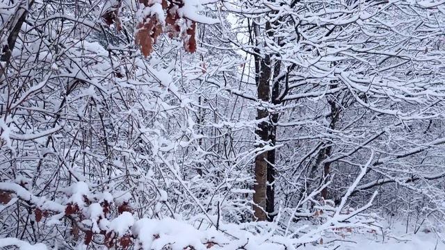 Beautiful winter scenes with piano music │ Emotional piano music │ Vladimir Sterzer смотреть онлайн