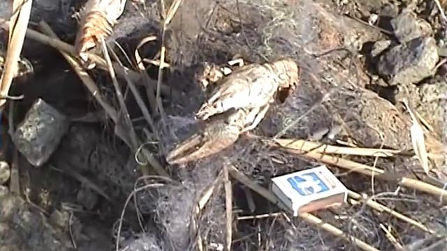 Старокрымское водохранилище...реалии. смотреть онлайн