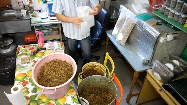 Шиитаке, Как сделать грибной блок по стерильной технологии
