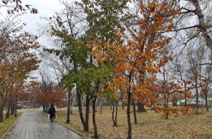 Дождливый день.  Владивосток