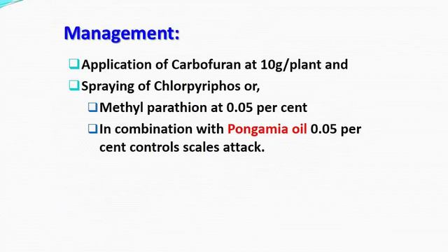 Pest Management for Hibiscus rosa-sinensis смотреть онлайн