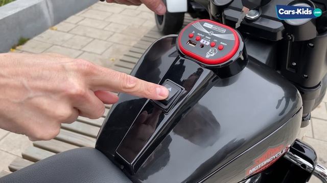 Детский мотоцикл трицикл Harley Davidson YBD 7173