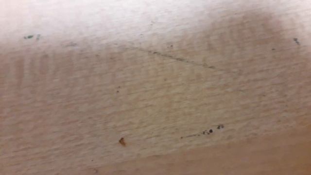 как из опарыша сделать муху ? белковый корм для муравьёв смотреть онлайн