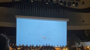 Оркестр и хор musicAeterna. Дирижёр – Теодор Курентзис. Реквием Габриэля. Форе
