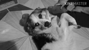 Память о шарике...😭🥺💦// Вредина лайф