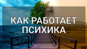 Как работает психика