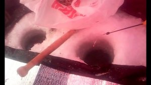 ЗИМНЯЯ РЫБАЛКА БАРНАУЛ  январь 2016