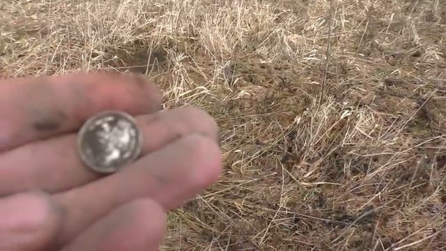 СТАРИННЫЕ НАХОДКИ КЛАДОИСКАТЕЛЕЙ! НАШЛИ ЦАРСКИЕ СЕРЕБРЯНЫЕ МОНЕТЫ В НЕБИТОЙ ДЕРЕВНЕ КОП ПО СТАРИНЕ!