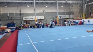 Вольные упражнения. Первый юношеский разряд. Спортивная гимнастика.