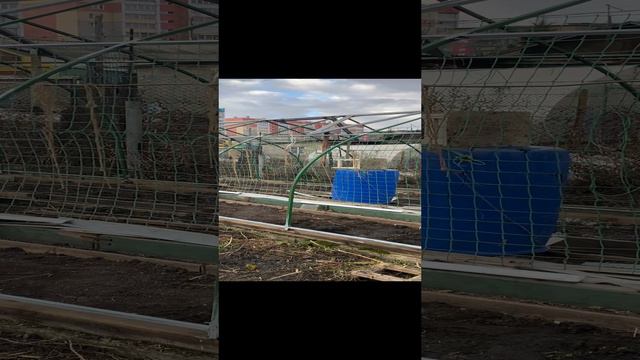Укрытие теплицы поликарбонатом