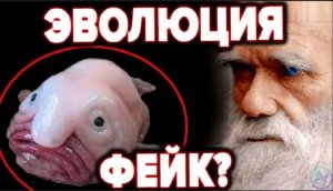 МАРАЗМ ЭВОЛЮЦИИ ИЛИ ШУТКИ БИОИНЖЕНЕРОВ Юмор уровня БОГ - камеди клаб отдыхает