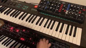 Synth vs Synth: Sequential Prophet 6 vs. Behringer Model D: Monophonic Sounds