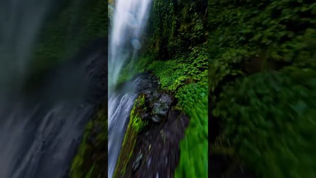 Водопады, в густых джунглях острова Ява